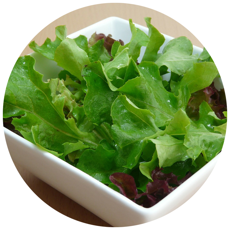 Grow Your Own Salad