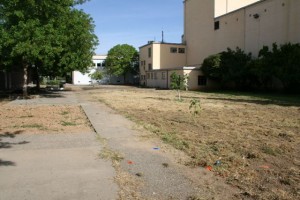 The SAC High Edible Schoolyard began as an empty courtyard in 2012