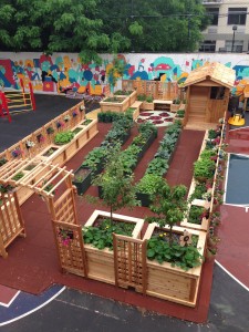 The TODAY Garden in full bloom