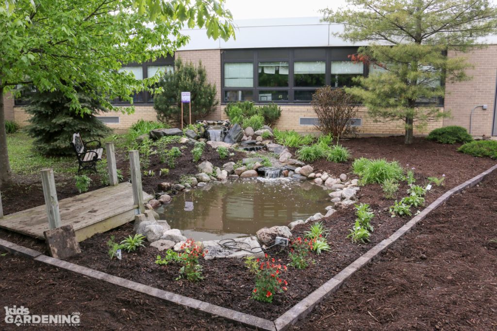 Army Trail School Pollinator Garden Area - AFTER Garden Install