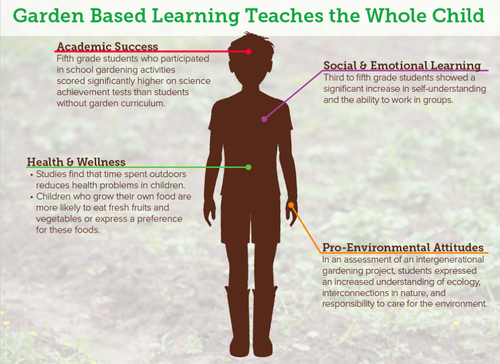 Whole Child Learning